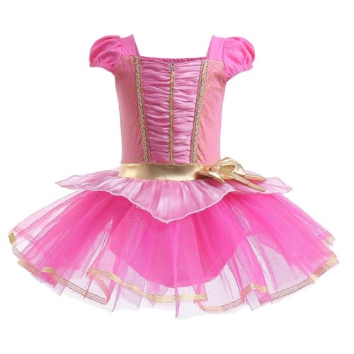 Chukamalilayi Kleinkind Mädchen Prinzessin Ballerina Tutu Kleid Rapunzel Sofia Schneewittchen Frozen ELSA Verkleidung Karneval Halloween (# Dornröschen, 120) von Chukamalilayi