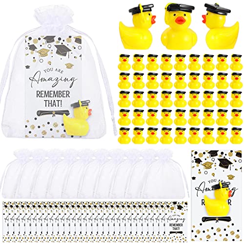 Chunful 72 Sets Klasse 2025 Abschlussgeschenke Harz Enten Lustige Ente mit inspirierenden Glückwunschkarten Organzabeutel für Schule, Student, College, Sohn, Tochter, Vorschule, Abschlussfeier von Chunful