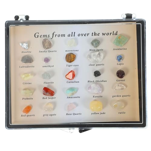 Ciieeo 1 Satz Mineralproben gesetzt Exemplar aus Naturstein unregelmäßiges Steindekor unregelmäßiger Stein Ornament Felsen Desktop- aus Stein Valentinsschmuck kleine Edelsteine von Ciieeo