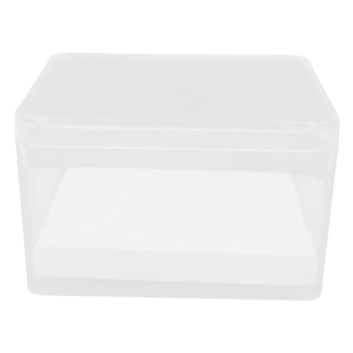 Ciieeo 1 Set Insektenprobenbox Schmetterlings Pinning Set Insektenlupe Insekten Ausstellungsrahmen Lebende Marienkäfer Stabinsektengehege Insekten Pinning Set Pin Ausstellung von Ciieeo