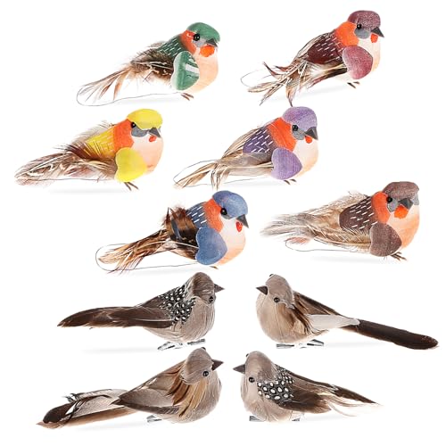 Ciieeo 10 Stück Künstliche Vögel aus Schaumstoff Realistische Vogeldekoration mit Clip für Bastel und Fotografie Requisiten für Garten und Wohnraumdekoration Ciieeo 10 Stück Künstliche Vögel aus Schaumstoff Realistische Vogeldekoration mit Clip für Bastel und Fotografie Requisiten für Garten und Wohnraumdekoration von Ciieeo
