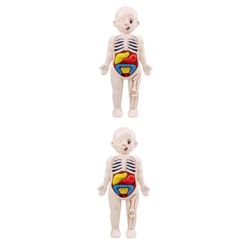 Ciieeo 2 Sätze Anatomisches Modell Des Menschlichen Körpers Teiliges Puzzle für Kognitives Lernspielzeug für Frühe Bildung Sicher für Kindergarten Zuhause Ciieeo 2 Sätze Anatomisches Modell Des Menschlichen Körpers Teiliges Puzzle für Kognitives Lernspielzeug für Frühe Bildung Sicher für Kindergarten Zuhause von Ciieeo