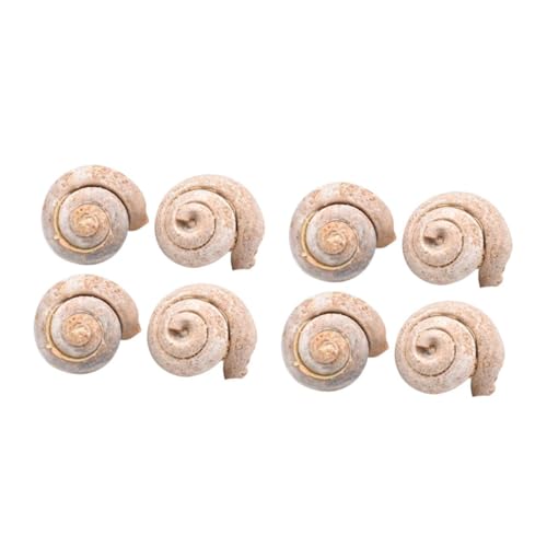 Ciieeo 2 Sätze Teiliges Schneckenfossil Naturbelassene Dekoration Für Schreibtisch Lehrmaterial Für Paläontologie Kinderbildung Partys Als 4 Stück * 2 Ciieeo 2 Sätze Teiliges Schneckenfossil Naturbelassene Dekoration Für Schreibtisch Lehrmaterial Für Paläontologie Kinderbildung Partys Als 4 Stück * 2 von Ciieeo