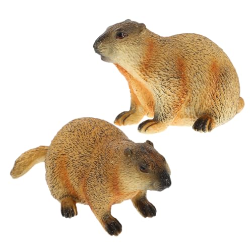 Ciieeo 2 Stück Groundhog -Modell Miniatur-Murmeltier-Figur Murmeltier-Ornament Simulationstiere Murmeltier Dekoration Groundhog Craft Plastik von Ciieeo