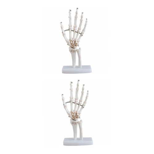 Ciieeo 2 Stück Handknochenmodell Handskelett Mit Gelenkmodell Menschliches Handgelenkmodell Für Hände Skelett Hand Haarnadel Handgelenk Modell Wissenschaftliche Skeletthand Voll Weiß Pvc Ciieeo 2 Stück Handknochenmodell Handskelett Mit Gelenkmodell Menschliches Handgelenkmodell Für Hände Skelett Hand Haarnadel Handgelenk Modell Wissenschaftliche Skeletthand Voll Weiß Pvc von Ciieeo
