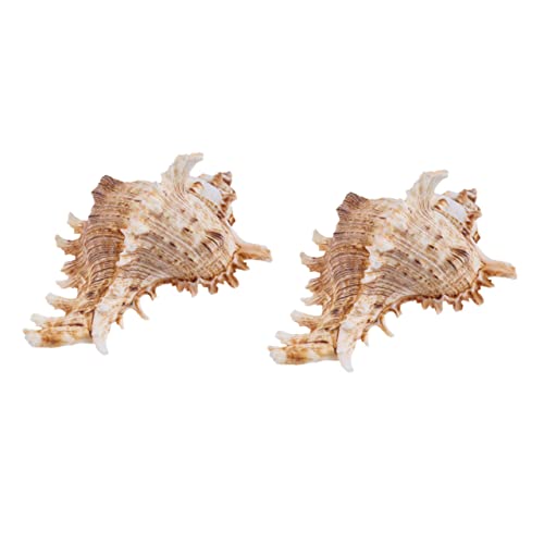 Ciieeo 2st Tausend Hand Schnecken Ornamente Groß Gebäcktablett Öldiffusoren Gehen Muscheldekoration Tabletts Zum Servieren Von Speisen Lärm Musical Aerophon Drainage Co Hülse von Ciieeo