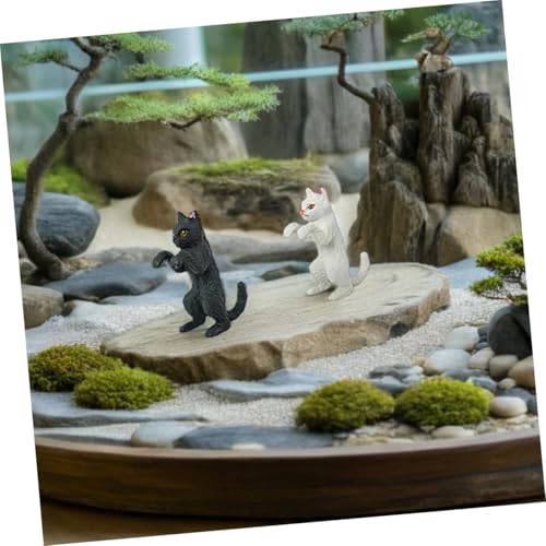 Ciieeo 6 Stück Teiliges Kleine Katzenfiguren Aquariumdekoration Langlebige Verspielte Katzenstatue Aufhängen Kreative Landschaftsdeko für DIY und Bonsai Geeignet für Fischglas und von Ciieeo