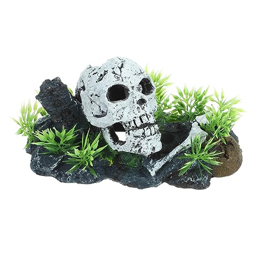 Ciieeo Aquarium Dekoration Skull Head Statue Lebendige Fischtank Ornamente für Kreative Landschaften für Aquarien und Teiche Langlebig und Pflegeleicht Ciieeo Aquarium Dekoration Skull Head Statue Lebendige Fischtank Ornamente für Kreative Landschaften für Aquarien und Teiche Langlebig und Pflegeleicht von Ciieeo