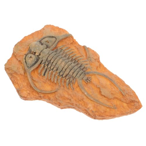 Ciieeo Fossiliendekoration Insekt für den Unterricht Harz für Insektenproben Insektenprobenverzierung Insektenproben -Kombination Exemplar aus Insektenharz paläontologisches Insekt Ciieeo Fossiliendekoration Insekt für den Unterricht Harz für Insektenproben Insektenprobenverzierung Insektenproben -Kombination Exemplar aus Insektenharz paläontologisches Insekt von Ciieeo