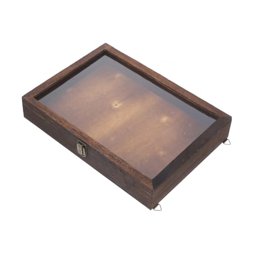 Ciieeo Holz display case mit Klappdeckel Vintage Insekten schaukasten für Schmetterlingsproben Transparente Aufbewahrungsbox zum Sammeln und Präsentieren Wandhängend von Ciieeo