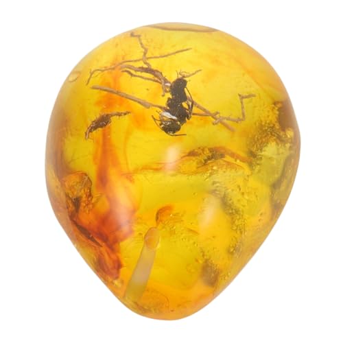 Ciieeo Insekt Bernstein Anhänger Klein Leicht Natürlicher Harz DIY Schmuck Detailreiches Sammler Ornament Einzigartiges Insektenexemplar für Dekoration und Sammlung von Ciieeo