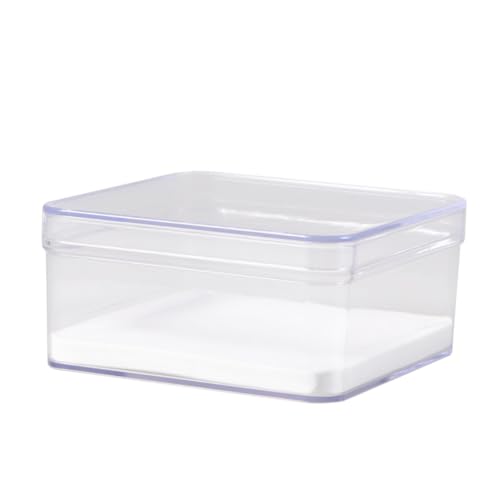 Ciieeo Insekten displaybox Transparent mit Deckel Vielseitige Aufbewahrungsbox für Insektenproben Schmuck Münzen und Kleine Sammlerstücke Schützende Vitrine für Präzise Präsentation von Ciieeo