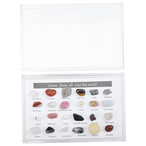 Ciieeo Kleine Unregelmäßige Steinschmuck Box Natürliche Mineralsteine für Kreative Dekoration für Sammler Bastelprojekte Perfektes Valentinstagsgeschenk Ciieeo Kleine Unregelmäßige Steinschmuck Box Natürliche Mineralsteine für Kreative Dekoration für Sammler Bastelprojekte Perfektes Valentinstagsgeschenk von Ciieeo