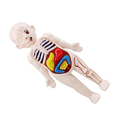 Ciieeo Menschliche Organe Puzzle Set Teilig Vorschul Lernspielzeug Kognitives Montessori Lehrmodell DIY Montessori Körper Lehrmittel für Anatomisches Bildungsspielzeug Ciieeo Menschliche Organe Puzzle Set Teilig Vorschul Lernspielzeug Kognitives Montessori Lehrmodell DIY Montessori Körper Lehrmittel für Anatomisches Bildungsspielzeug von Ciieeo