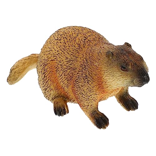 Ciieeo Realistische Figur Simulation Wildtier Modell für Dekoration und Bildung Hochwertige Nachbildung für Zuhause Kindergarten und Schule Ciieeo Realistische Figur Simulation Wildtier Modell für Dekoration und Bildung Hochwertige Nachbildung für Zuhause Kindergarten und Schule von Ciieeo