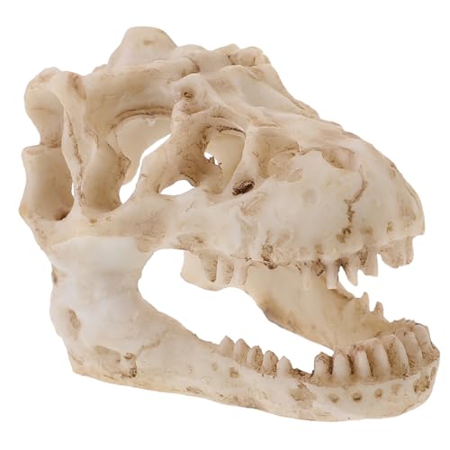 Ciieeo Schädelmodell Wunderlich Dinosaurier Halloween Party Dekoration Skelett Knochen kleine Totenkopfverzierung simulierter Schädel Schädelverzierung dekorative Schädel Harz Ciieeo Schädelmodell Wunderlich Dinosaurier Halloween Party Dekoration Skelett Knochen kleine Totenkopfverzierung simulierter Schädel Schädelverzierung dekorative Schädel Harz von Ciieeo