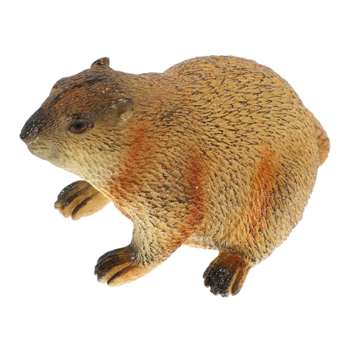 Ciieeo Simulierte Wilde Tiere Tierfiguren Aus Kunststoff Kleine Murmeltierstatue Simulation Tierfigur Murmeltier-Ornament Murmeltierfiguren Murmeltier Figur Plastik von Ciieeo