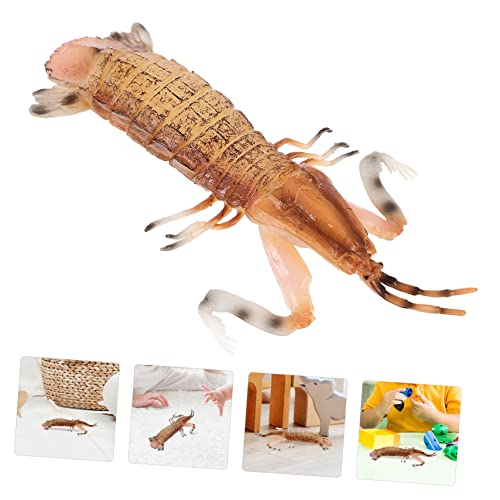 Ciieeo Vivid Lernspielzeug Tiermodell Mantis Shrimp Robustes Kinderspielzeug für Kleine Tragbar und Langlebig für Kindergeburtstag und Spielerisches Lernen Ciieeo Vivid Lernspielzeug Tiermodell Mantis Shrimp Robustes Kinderspielzeug für Kleine Tragbar und Langlebig für Kindergeburtstag und Spielerisches Lernen von Ciieeo