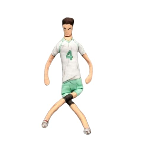 Ciyoulio Iwaizumi Hajime Plüschfigur, lustige Anime-Stofffigur, verdrehbare Gliedmaßen, PP-Baumwolle, Dekokissen, Sofa, Bett, Dekoration, Geschenk, 28 cm von Ciyoulio