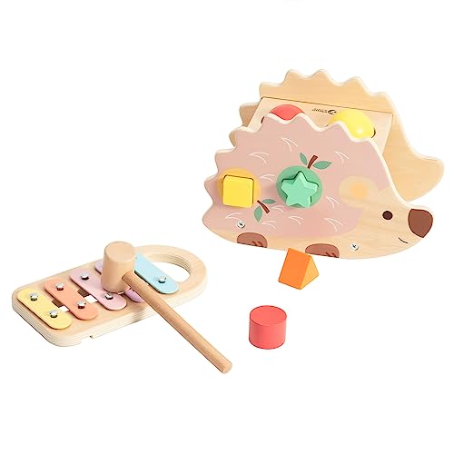Classic World Igel Steckspiel | Hammerspiel, Sortierbox, Xylophon (3 in 1) | Hammerspiel ab 1 Jahr | Klopfbank ab 1 Jahr | Xylophon Kinder 1 Jahr von Classic World