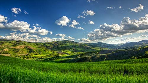 ClassicJP 1000 Stück Puzzle Sunny Green Hills Naturlandschaft Für Erwachsene Freunde ClassicJP 1000 Stück Puzzle Sunny Green Hills Naturlandschaft Für Erwachsene Freunde von ClassicJP