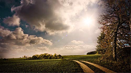 ClassicJP 1000 Stück Puzzles Jigsaw Für Kid Erwachsenes Tolle Herbstlandschaft Puzzle DIY Spiel ClassicJP 1000 Stück Puzzles Jigsaw Für Kid Erwachsenes Tolle Herbstlandschaft Puzzle DIY Spiel von ClassicJP