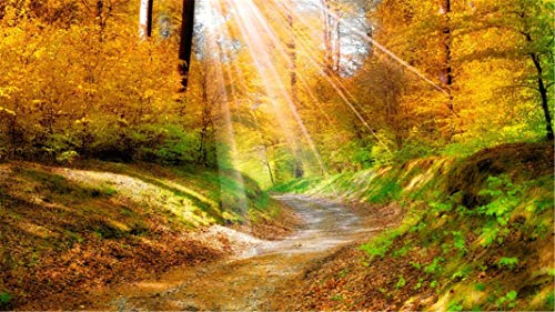 ClassicJP 1000 Teile Puzzle Herbstlicht über dem Wald Für Erwachsene Freunde ClassicJP 1000 Teile Puzzle Herbstlicht über dem Wald Für Erwachsene Freunde von ClassicJP