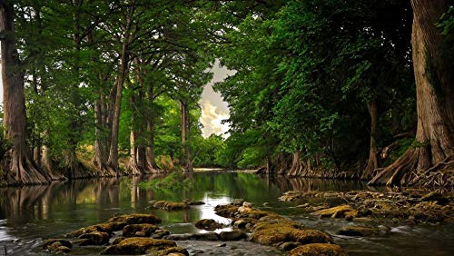 ClassicJP 1000 Teile Puzzles See Wald Für erwachsenes ClassicJP 1000 Teile Puzzles See Wald Für erwachsenes von ClassicJP