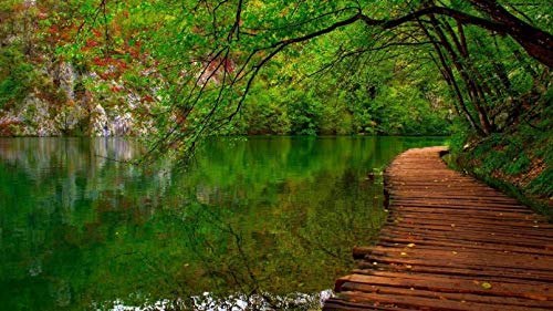 ClassicJP 1000-Teilige Puzzlespiele Grown Ups Puzzle Landschaft Lake Forest Patio Für Erwachsene Kinder ClassicJP 1000-Teilige Puzzlespiele Grown Ups Puzzle Landschaft Lake Forest Patio Für Erwachsene Kinder von ClassicJP