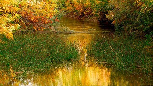 ClassicJP 1000-teiliges Puzzle Natur, Landschaft, Bäume, Wasser Hobby Heimtextilien DIY ClassicJP 1000-teiliges Puzzle Natur, Landschaft, Bäume, Wasser Hobby Heimtextilien DIY von ClassicJP