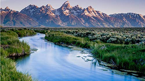 ClassicJP DIY Art Puzzle Großartige Teton Nationalpark-Landschaft Für Erwachsene Erwachsene Stichsägen 1000 Stück ClassicJP DIY Art Puzzle Großartige Teton Nationalpark-Landschaft Für Erwachsene Erwachsene Stichsägen 1000 Stück von ClassicJP