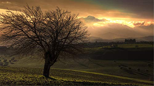 ClassicJP DIY Jigsaw 1000 Piece Herbst Sonnenuntergang Für Erwachsene Kinderfreund Puzzle ClassicJP DIY Jigsaw 1000 Piece Herbst Sonnenuntergang Für Erwachsene Kinderfreund Puzzle von ClassicJP