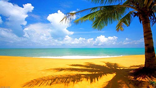 ClassicJP DIY Spiel Für Kind Erwachsene Spielzeug Geschenk Meer Und Ozean Tropischen Sand Puzzle 1000Stück Puzzles ClassicJP DIY Spiel Für Kind Erwachsene Spielzeug Geschenk Meer Und Ozean Tropischen Sand Puzzle 1000Stück Puzzles von ClassicJP