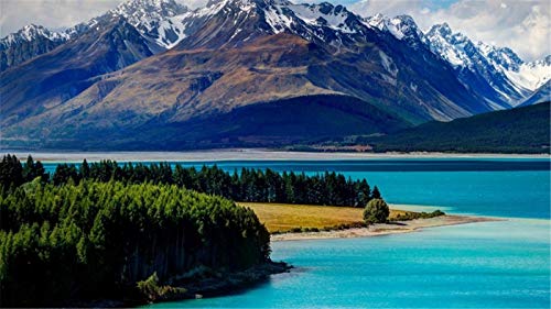 ClassicJP Für Kind Erwachsene Spielzeug Geschenk Puzzle Lake Tekapo Neuseeland Landschaft DIY Spiel Puzzles mit 1000 Teilen ClassicJP Für Kind Erwachsene Spielzeug Geschenk Puzzle Lake Tekapo Neuseeland Landschaft DIY Spiel Puzzles mit 1000 Teilen von ClassicJP