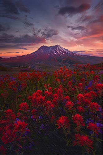 ClassicJP Puzzle 1000 Teile Puzzles Rote Blumen Für Erwachsene Kinder ClassicJP Puzzle 1000 Teile Puzzles Rote Blumen Für Erwachsene Kinder von ClassicJP