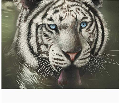 ClassicJP Puzzle 1000 Teile Puzzles Tier des Weißen Tigers Für Kinder Erwachsene Festival Geschenk ClassicJP Puzzle 1000 Teile Puzzles Tier des Weißen Tigers Für Kinder Erwachsene Festival Geschenk von ClassicJP