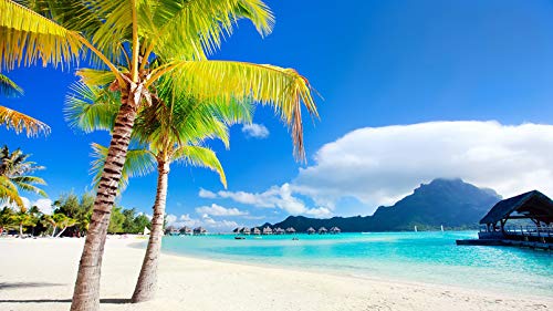 ClassicJP Puzzle Für Erwachsene 1000 Stück Bora Bora Beach Exotischen Tropischen Palmier Spielzeug Hobby Jigsaw ClassicJP Puzzle Für Erwachsene 1000 Stück Bora Bora Beach Exotischen Tropischen Palmier Spielzeug Hobby Jigsaw von ClassicJP