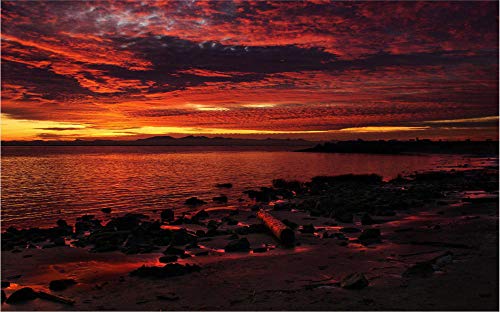 ClassicJP Puzzle Puzzles 1000 Teile Ozean Sonnenuntergang Landschaft DIY Art Für Erwachsene Erwachsene ClassicJP Puzzle Puzzles 1000 Teile Ozean Sonnenuntergang Landschaft DIY Art Für Erwachsene Erwachsene von ClassicJP
