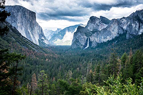 ClassicJP Puzzle für Erwachsene 1000 Teile Yosemite National Park Landschaft Für Freund Kinder Familien Geburtstagsgeschenk ClassicJP Puzzle für Erwachsene 1000 Teile Yosemite National Park Landschaft Für Freund Kinder Familien Geburtstagsgeschenk von ClassicJP