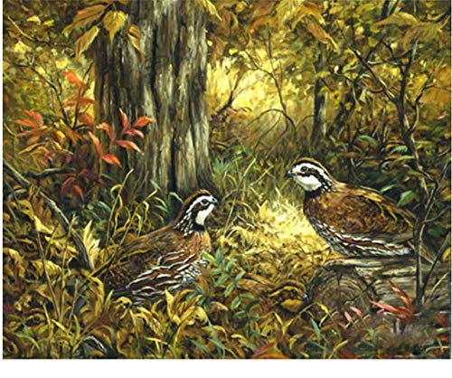 ClassicJP Puzzles 1000 Teile Puzzles Waldvogel Für Erwachsene Geschenk ClassicJP Puzzles 1000 Teile Puzzles Waldvogel Für Erwachsene Geschenk von ClassicJP