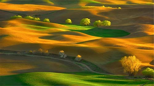 ClassicJP Puzzles 1000 Teile Steptoe Butte State Park Washington Für erwachsenes von ClassicJP