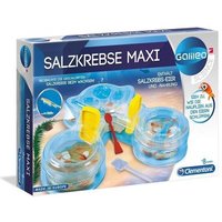 CLEMENTONI 69350 Galileo - Salzkrebse Maxi CLEMENTONI 69350 Galileo - Salzkrebse Maxi von Clementoni