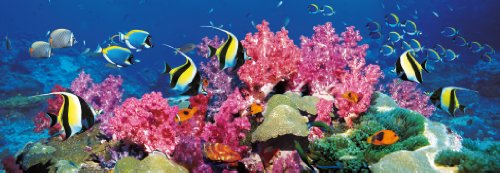 Clementoni 39063.2 - Panorama Coral Reef, 1000 teilig Clementoni 39063.2 - Panorama Coral Reef, 1000 teilig von Clementoni