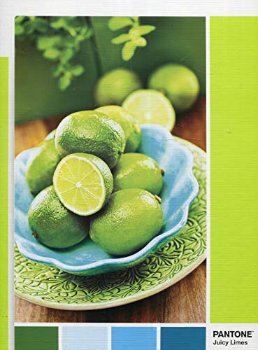 Clementoni 39492 Clementoni-39492-Pantone Collection-Limonenschale-1000 Teile, Mehrfarben, 875 g von Clementoni