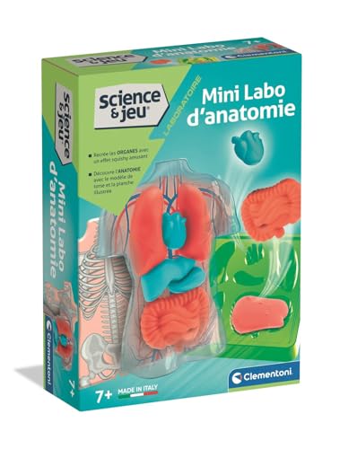 Clementoni Komplettes Set zum Erstellen eines anatomischen Modells ab 7 Jahren | Mini-Anatomie-Labo | pädagogisch | Wissenschaft und Spiel | Den menschlichen Körper entdecken | Made in Italy | von Clementoni