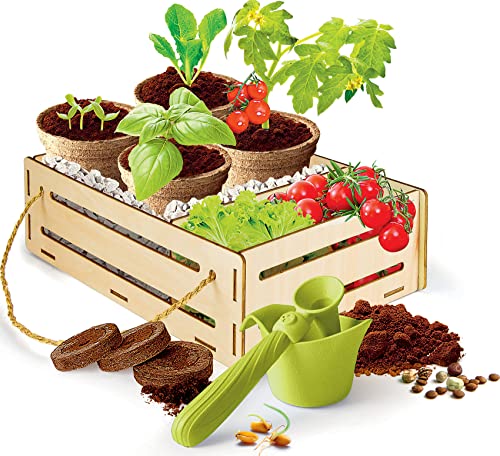 Clementoni Galileo Play for Future – Mein Garten Set, Experimentierkasten für Pflanzen-Fans, Wissenschaft für Zuhause, Botanik & Biologie für Kinder ab 7 Jahren 59207 Clementoni Galileo Play for Future – Mein Garten Set, Experimentierkasten für Pflanzen-Fans, Wissenschaft für Zuhause, Botanik & Biologie für Kinder ab 7 Jahren 59207 von Clementoni