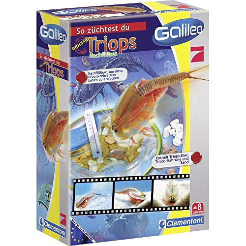 Clementoni Galileo Lab Original Triops Nachfüll-Set - Züchten & Beobachten von Urzeitkrebsen - Biologie zum Anfassen für kleine Forscher - Spielzeug für Kinder ab 8 Jahren von Clementoni 69935 von Clementoni