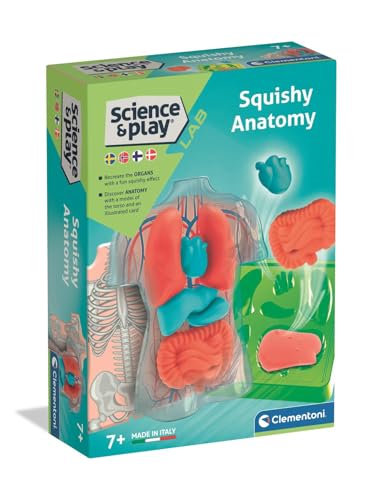 Clementoni ANATOMIA Squishy (Nordic) von Clementoni