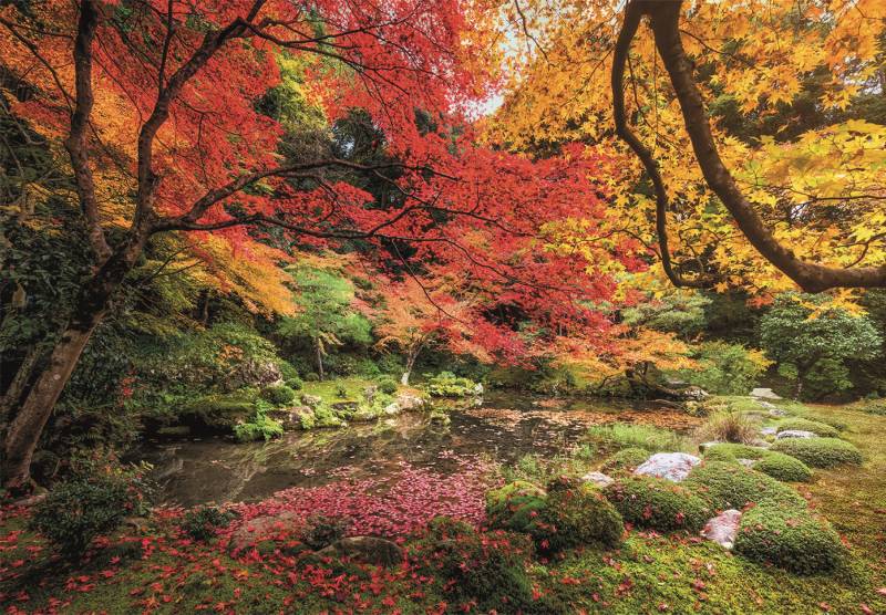 Clementoni Autumn Park 1500 Teile Puzzle Clementoni-31710 von Clementoni