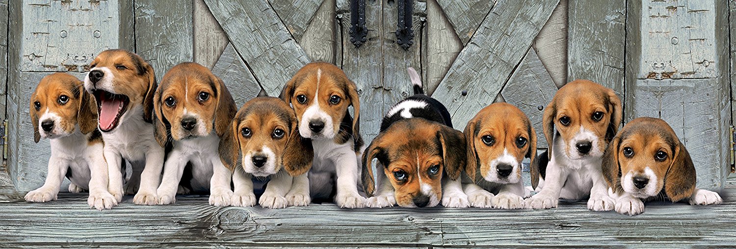 Clementoni Beagles 1000 Teile Puzzle Clementoni-39869 Clementoni Beagles 1000 Teile Puzzle Clementoni-39869 von Clementoni